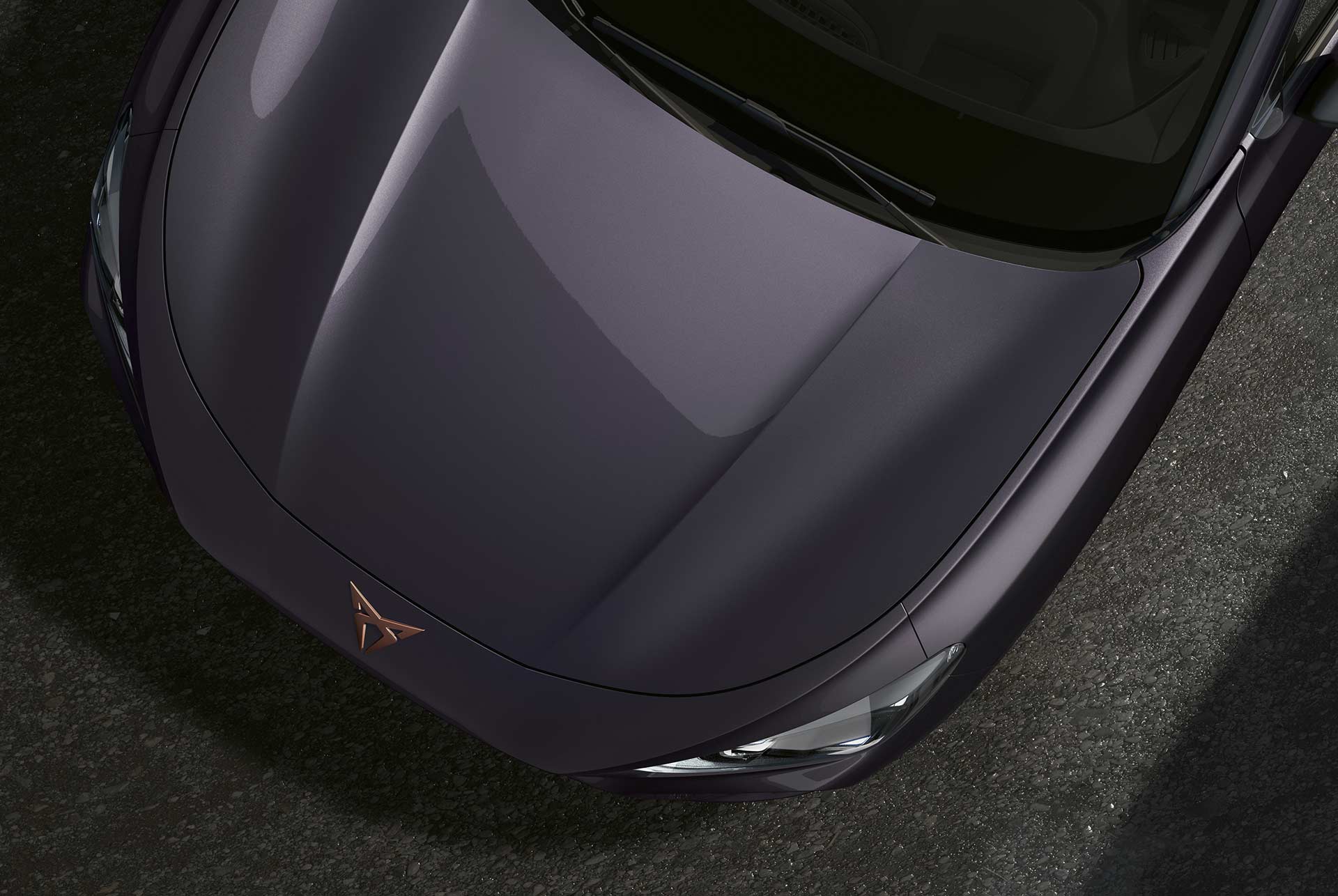 CUPRA Terramar en Dark Void