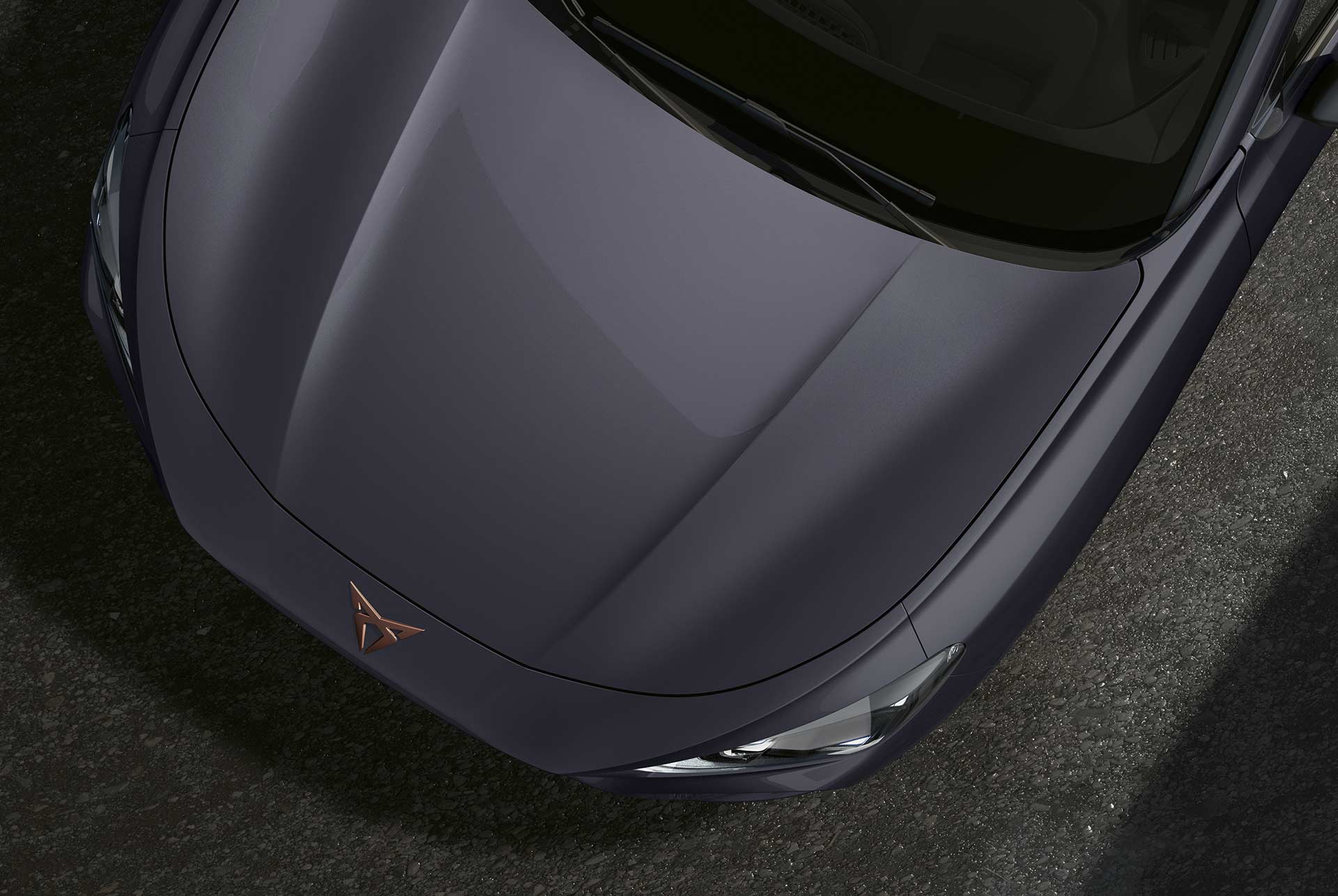 CUPRA Terramar en Gris Grafeno